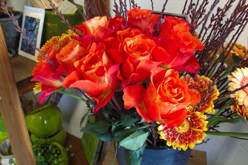 Strahlende Rosen mit Moorbirke